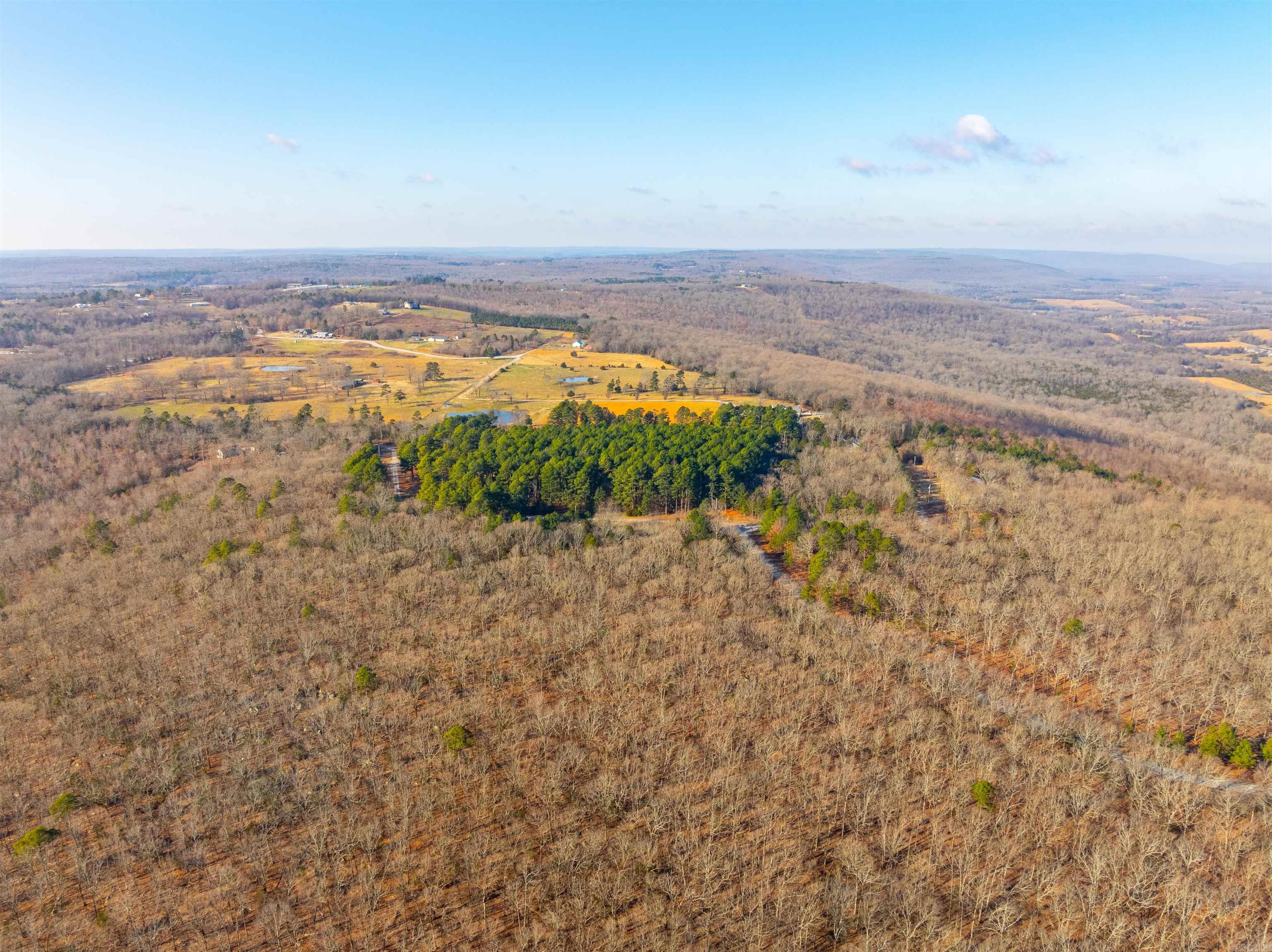 Photo 19 - Vacant Land for sale – TBD  Castle   Batesville, AR