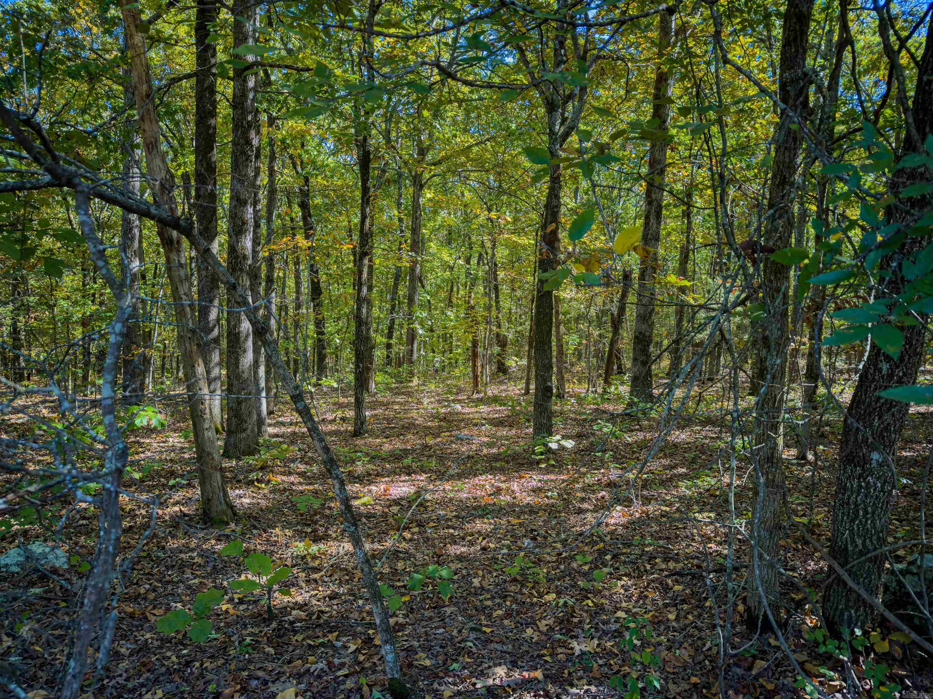 Photo 3 - Vacant Land for sale – TBD  Castle   Batesville, AR