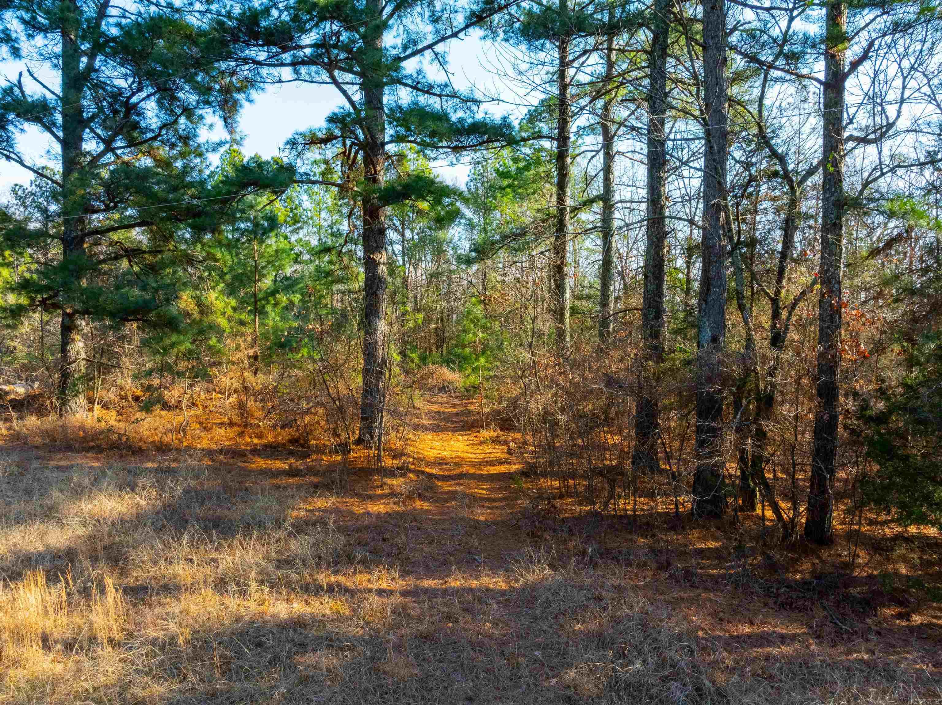 Photo 3 - Vacant Land for sale – TBD  Castle   Batesville, AR