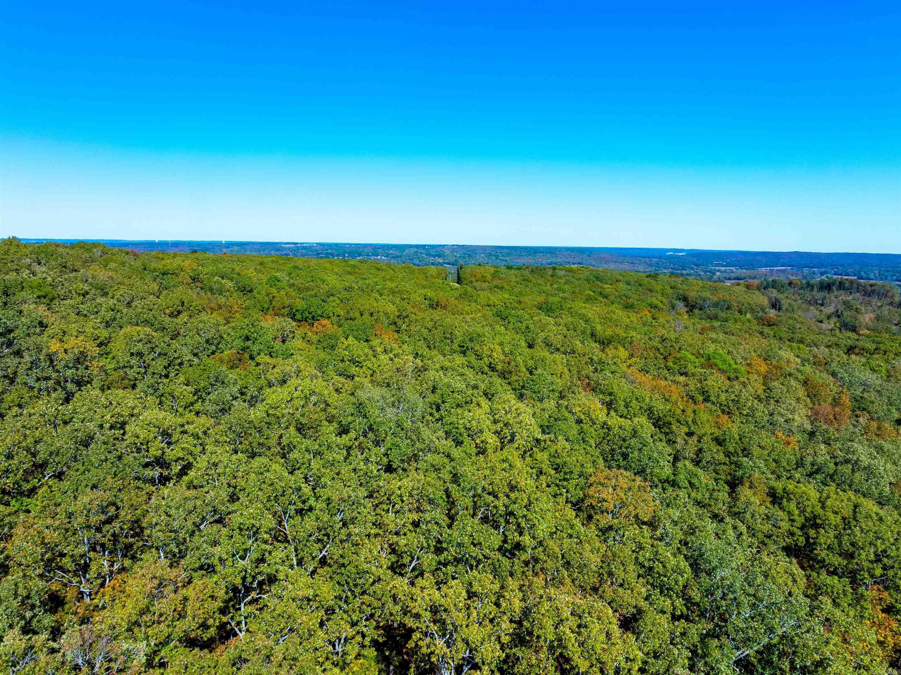 Photo 27 - Vacant Land for sale – TBD  Castle   Batesville, AR