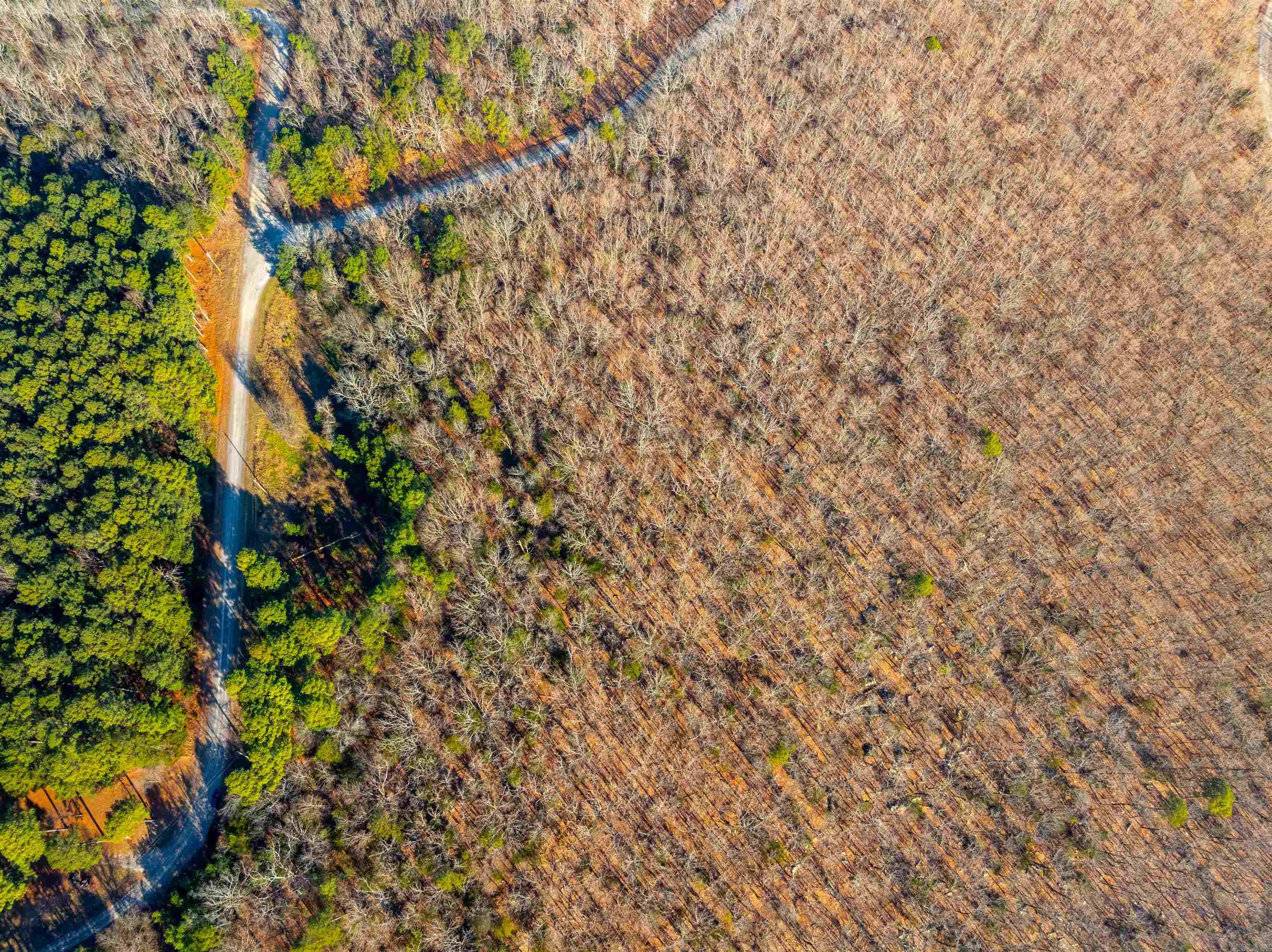 Photo 4 - Vacant Land for sale – TBD  Castle   Batesville, AR
