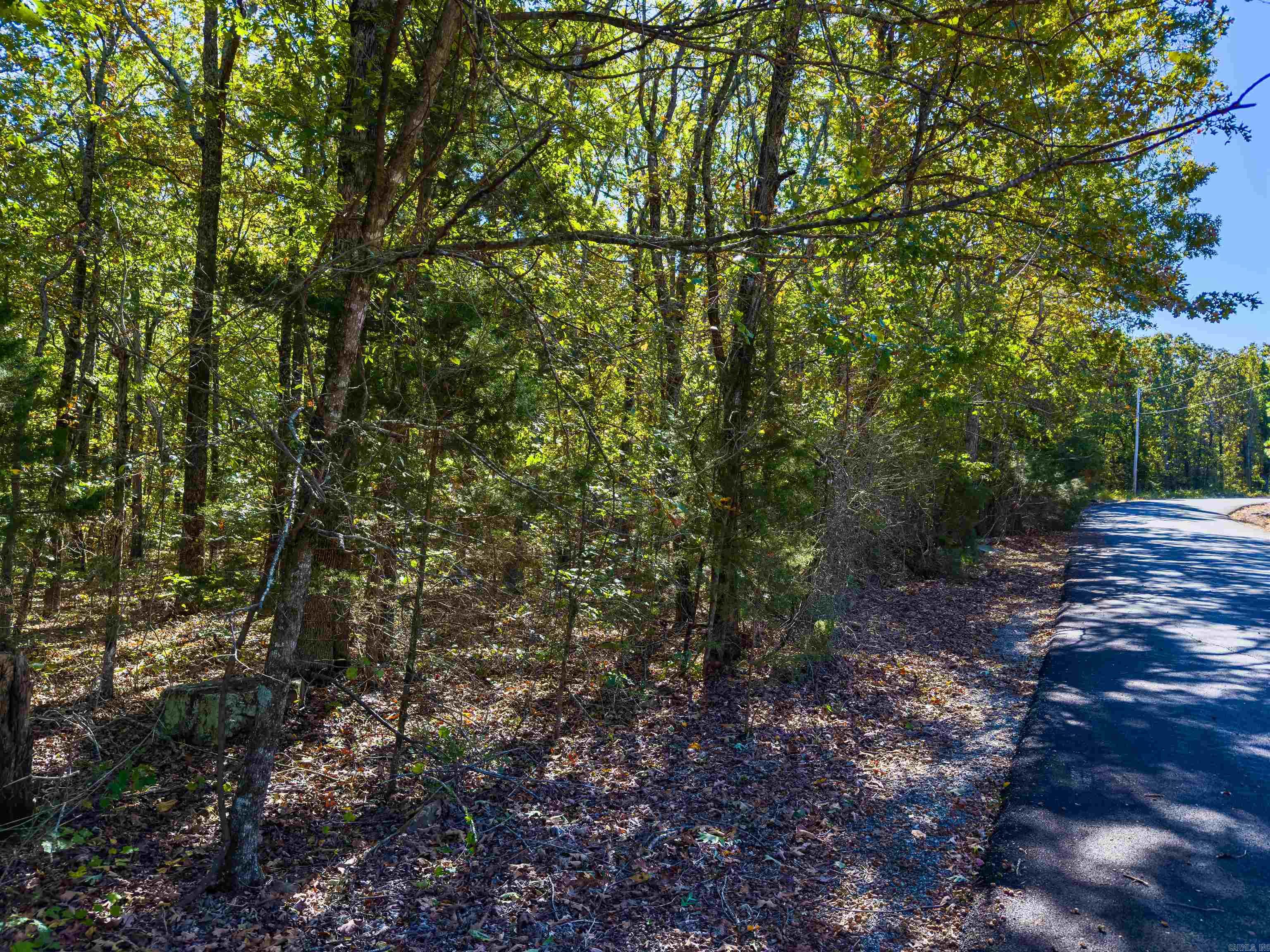 Photo 4 - Vacant Land for sale – TBD  Castle   Batesville, AR