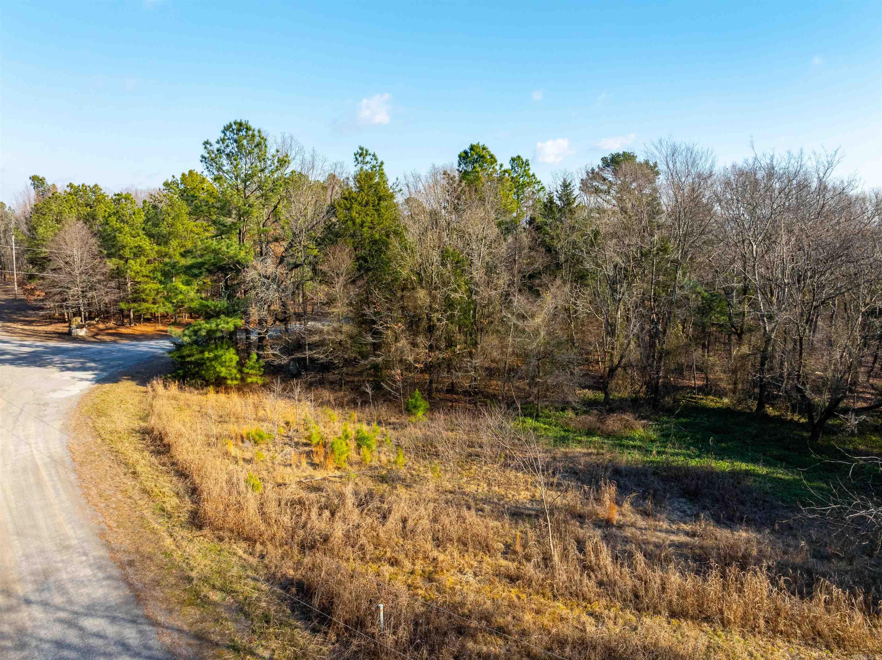 Photo 6 - Vacant Land for sale – TBD  Castle   Batesville, AR