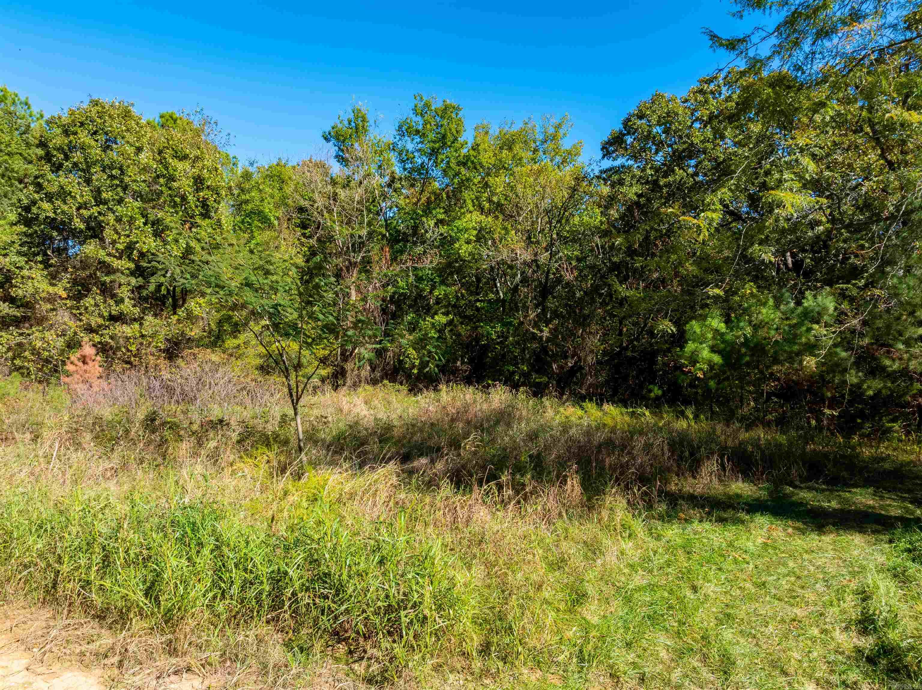 Photo 6 - Vacant Land for sale – TBD  Castle   Batesville, AR