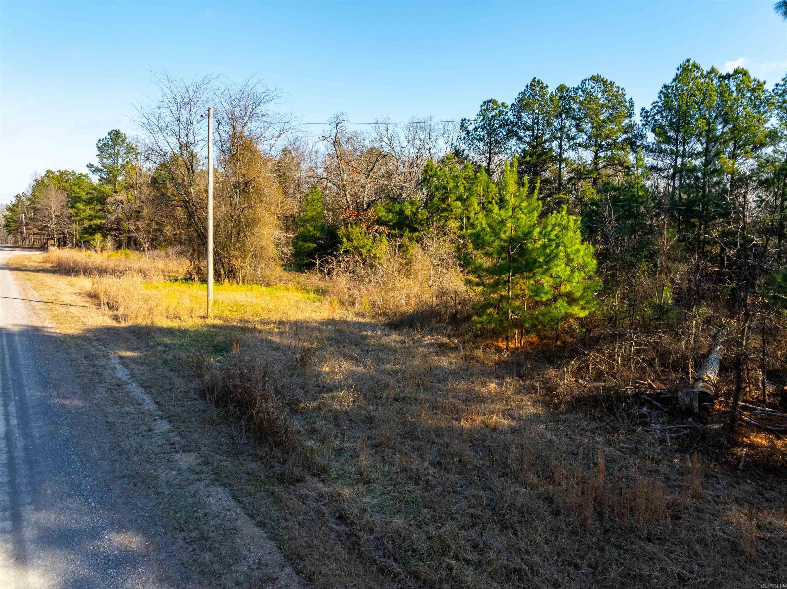 Photo 7 - Vacant Land for sale – TBD  Castle   Batesville, AR