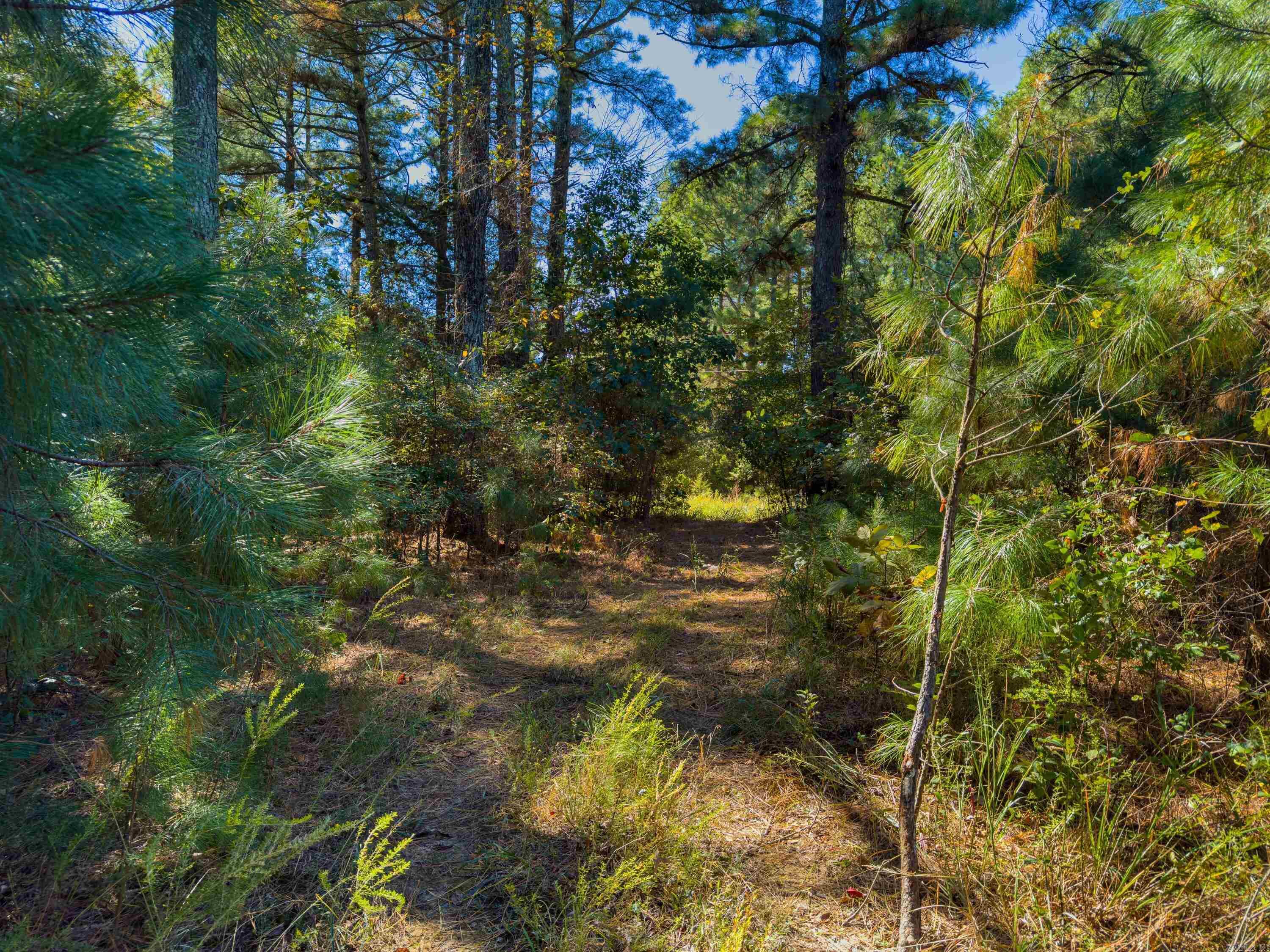 Photo 8 - Vacant Land for sale – TBD  Castle   Batesville, AR