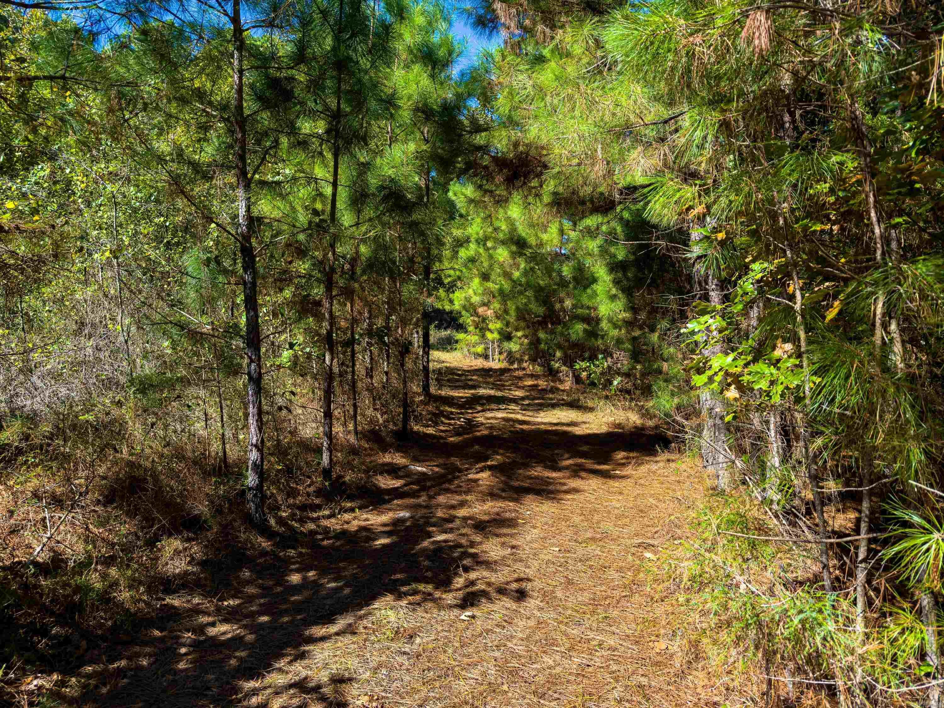 Photo 9 - Vacant Land for sale – TBD  Castle   Batesville, AR