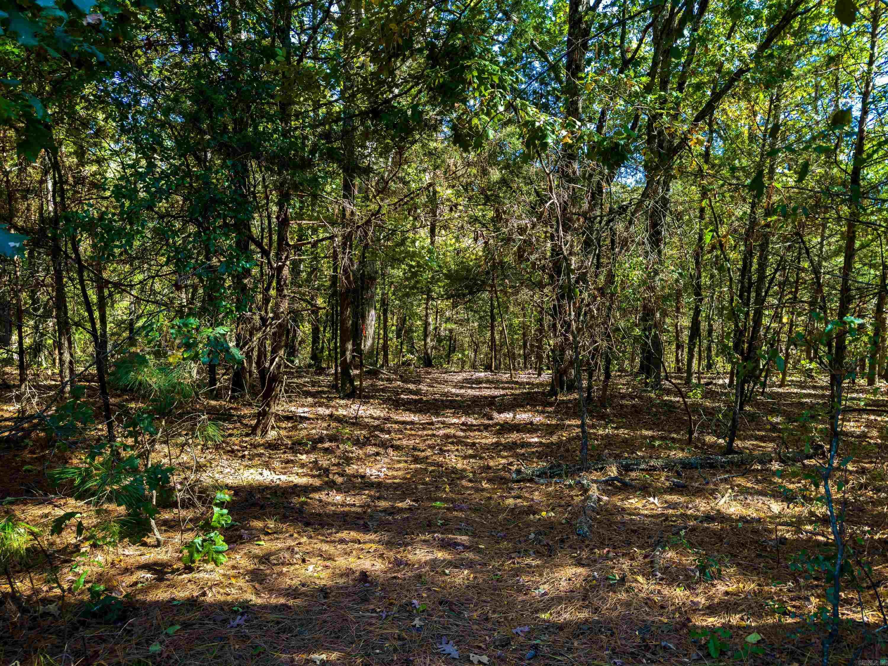 Photo 10 - Vacant Land for sale – TBD  Castle   Batesville, AR