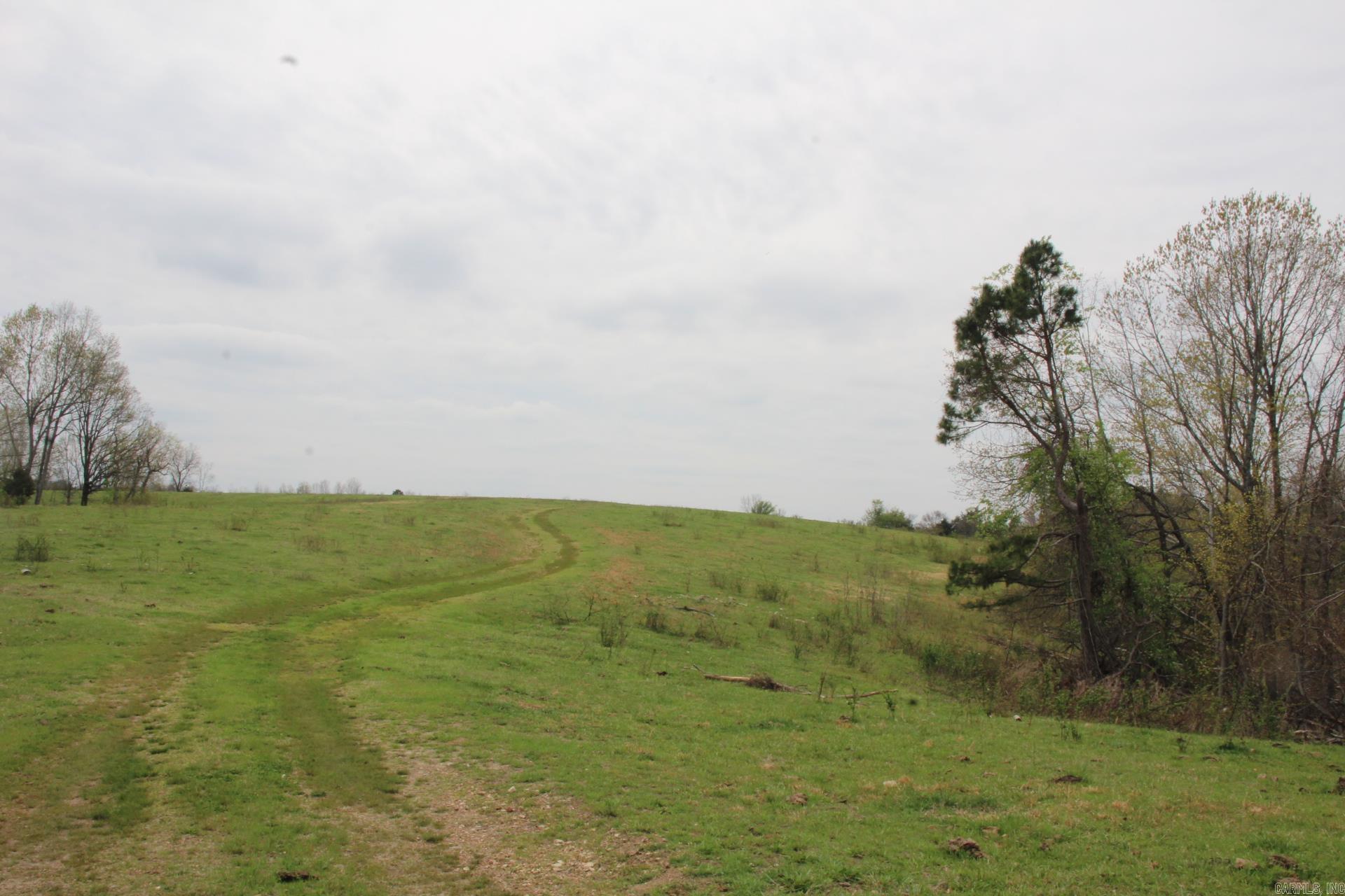 Photo 2 - Vacant Land for sale – 001-08184-000 N Hwy 125   Yellville, AR