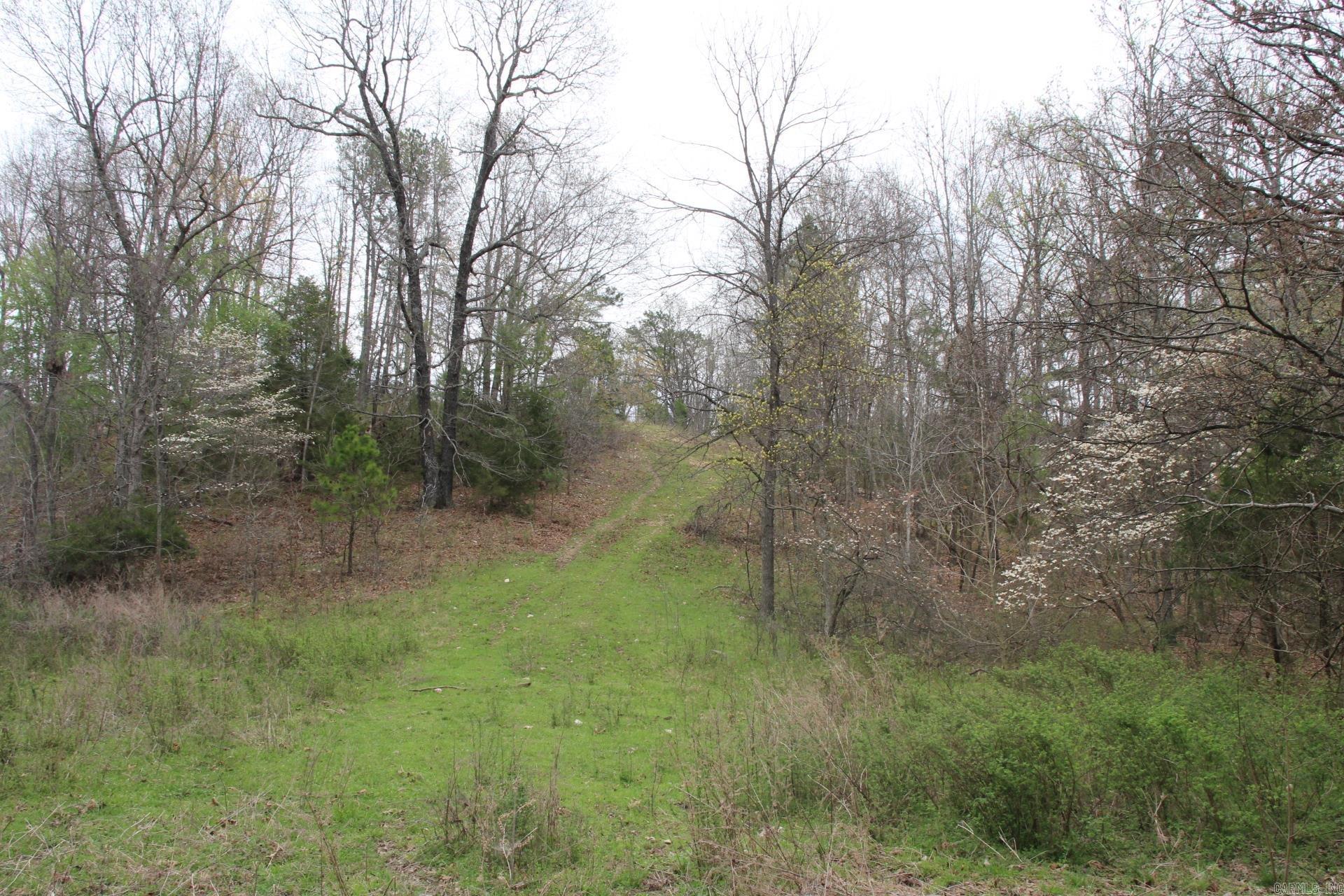 Photo 12 - Vacant Land for sale – 001-08184-000 N Hwy 125   Yellville, AR