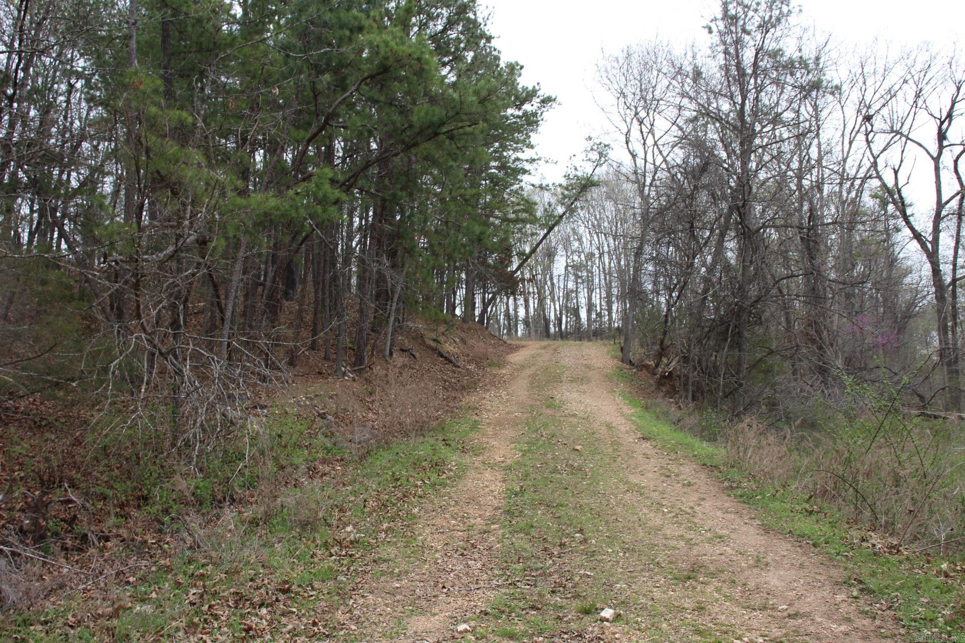 Photo 13 - Vacant Land for sale – 001-08184-000 N Hwy 125   Yellville, AR