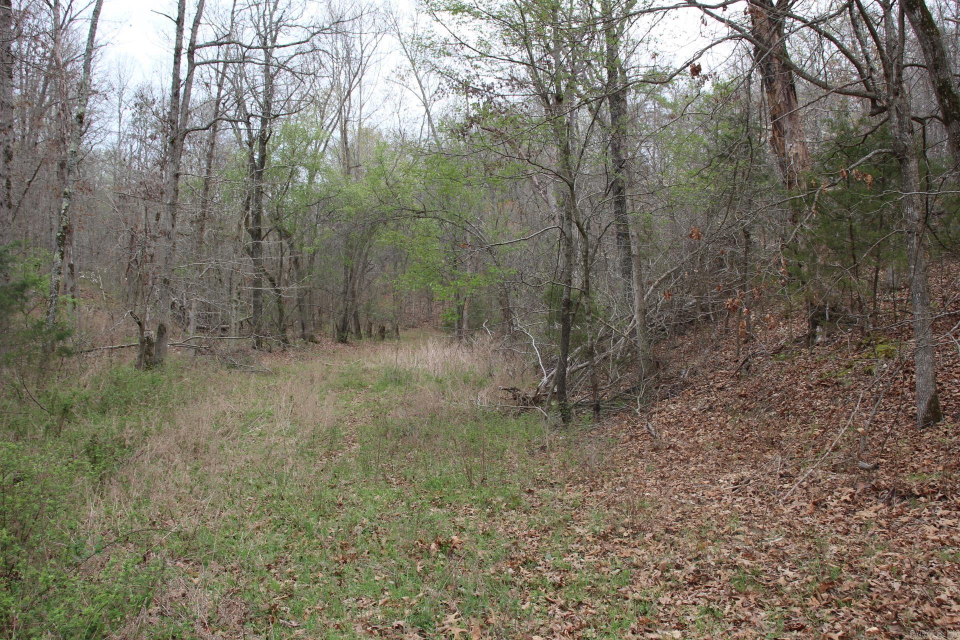 Photo 14 - Vacant Land for sale – 001-08184-000 N Hwy 125   Yellville, AR