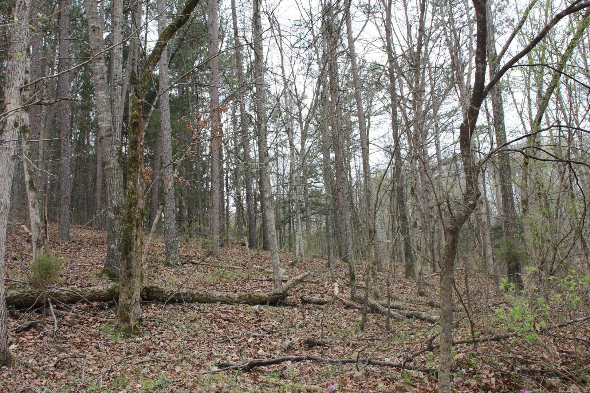 Photo 19 - Vacant Land for sale – 001-08184-000 N Hwy 125   Yellville, AR