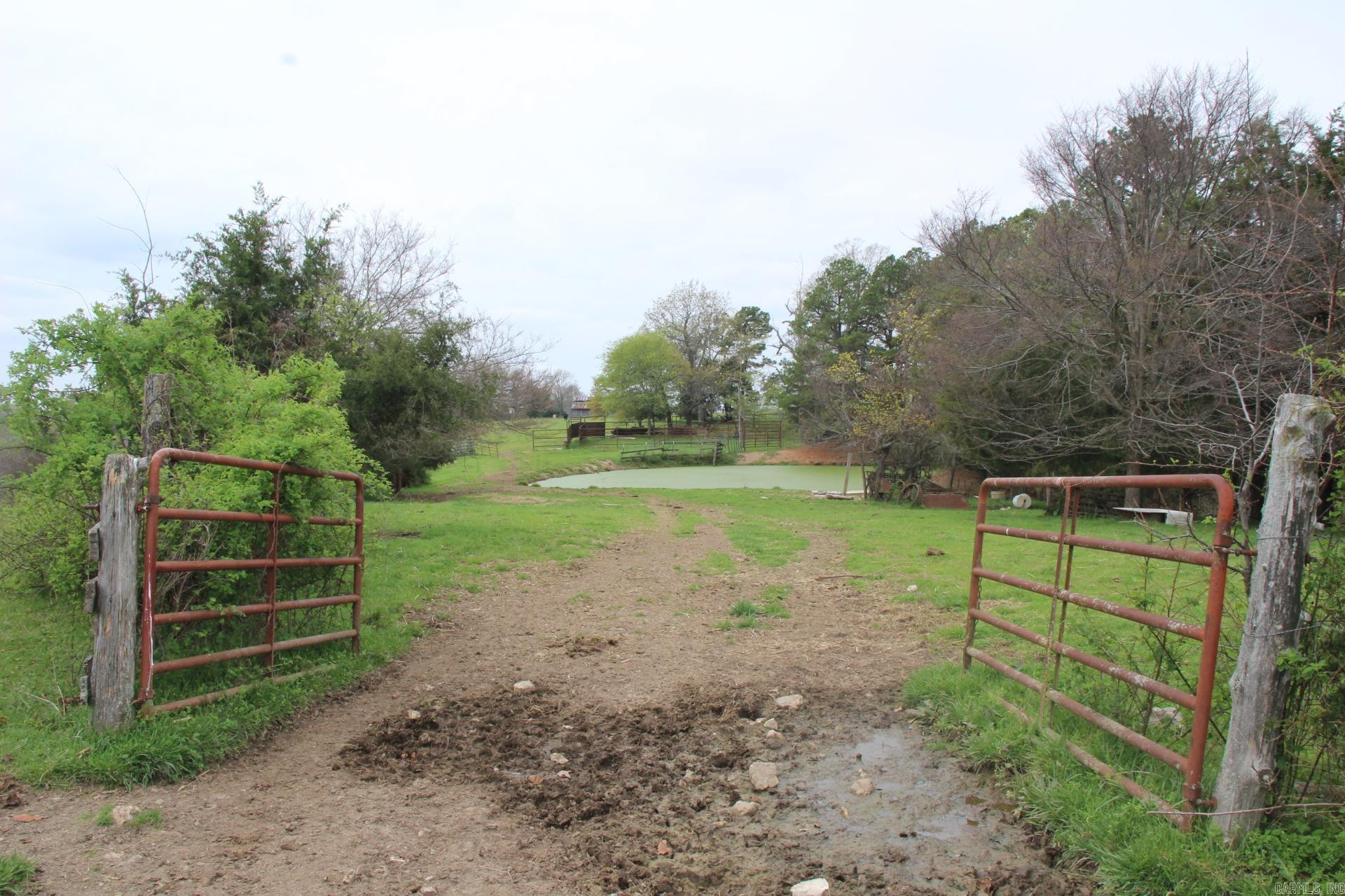 Photo 3 - Vacant Land for sale – 001-08184-000 N Hwy 125   Yellville, AR