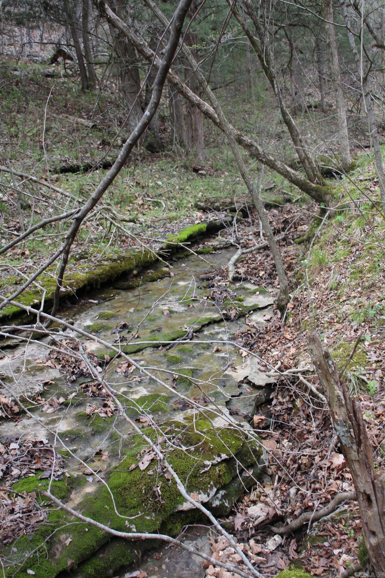 Photo 22 - Vacant Land for sale – 001-08184-000 N Hwy 125   Yellville, AR