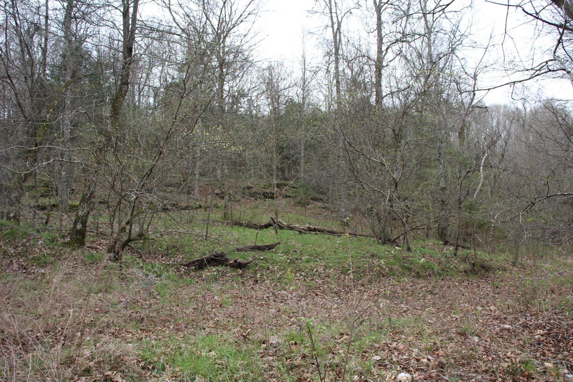 Photo 23 - Vacant Land for sale – 001-08184-000 N Hwy 125   Yellville, AR