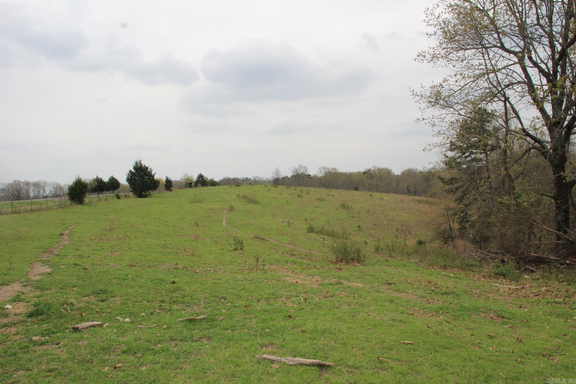 Photo 26 - Vacant Land for sale – 001-08184-000 N Hwy 125   Yellville, AR
