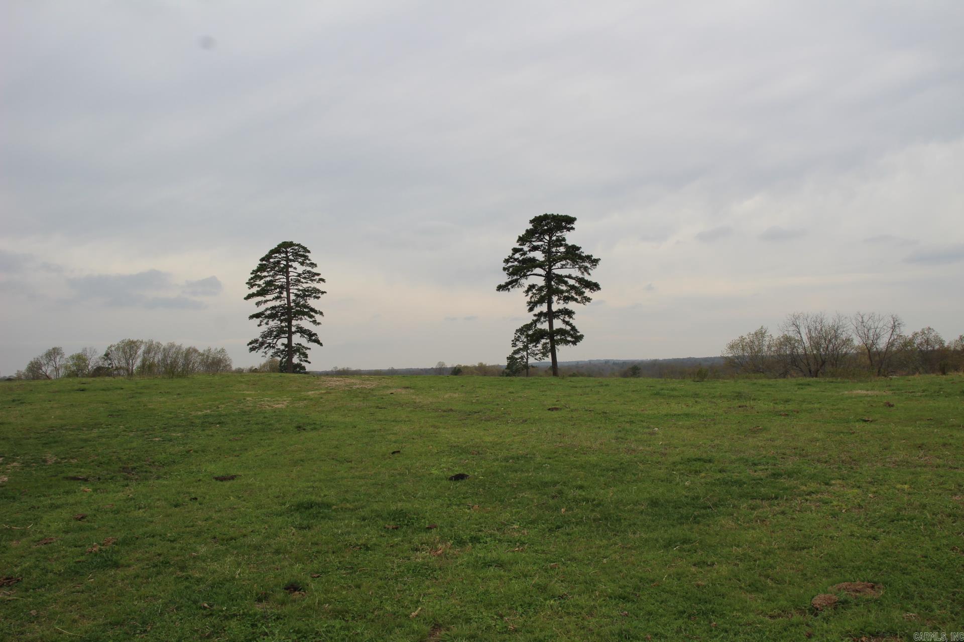 Photo 28 - Vacant Land for sale – 001-08184-000 N Hwy 125   Yellville, AR