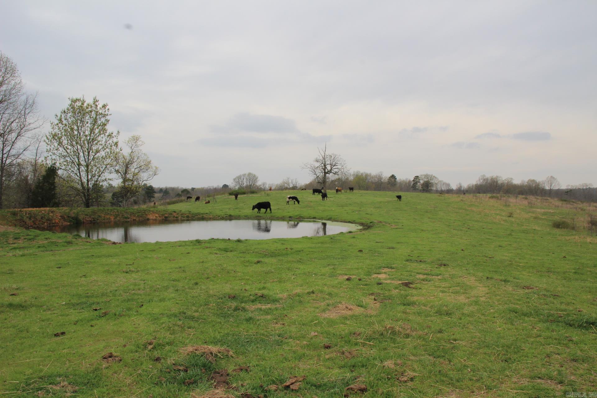 Photo 30 - Vacant Land for sale – 001-08184-000 N Hwy 125   Yellville, AR