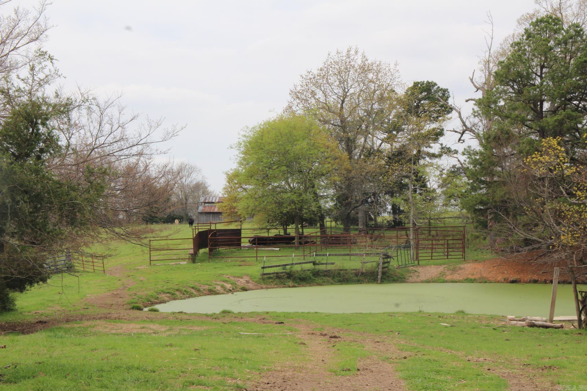 Photo 4 - Vacant Land for sale – 001-08184-000 N Hwy 125   Yellville, AR