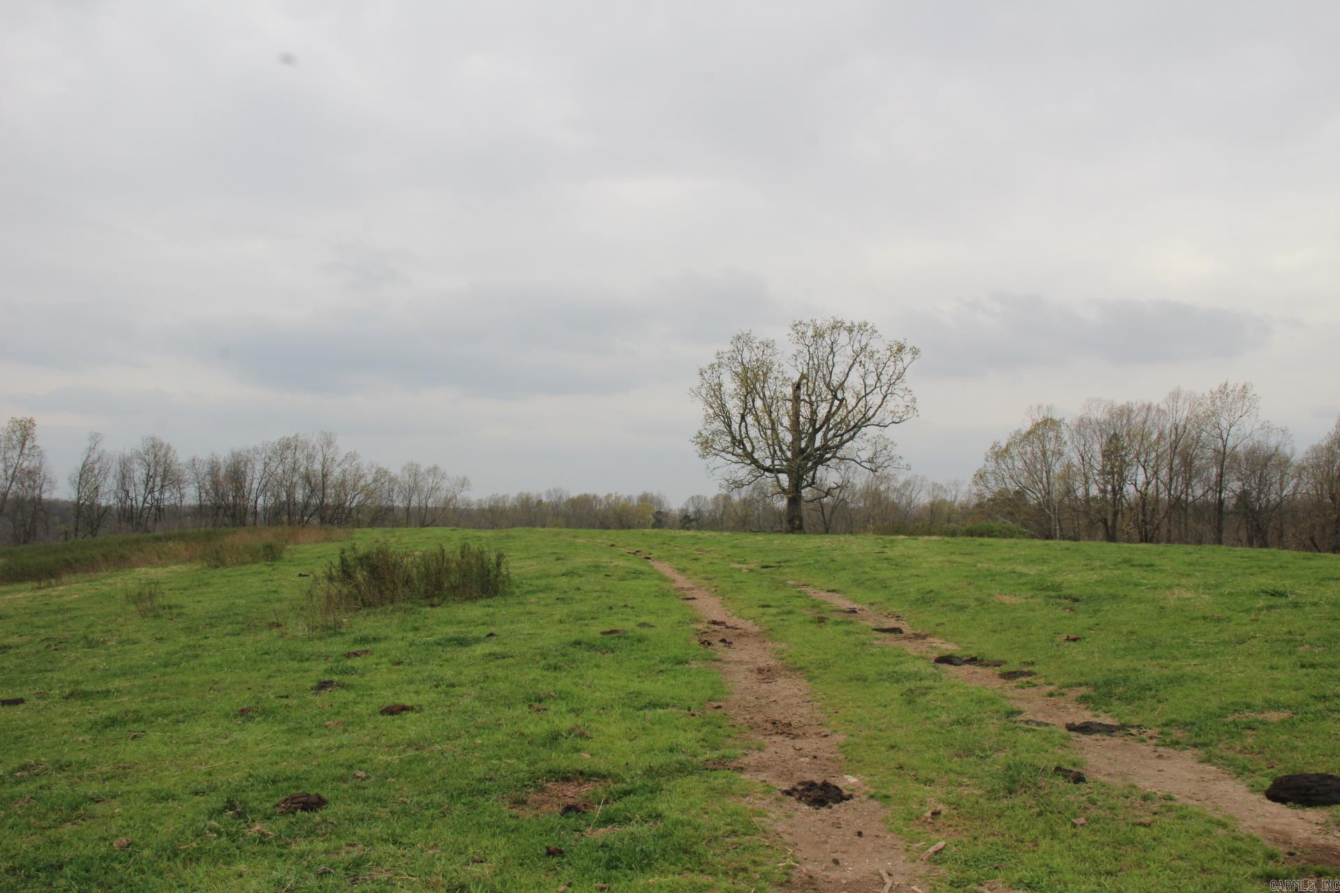 Photo 32 - Vacant Land for sale – 001-08184-000 N Hwy 125   Yellville, AR