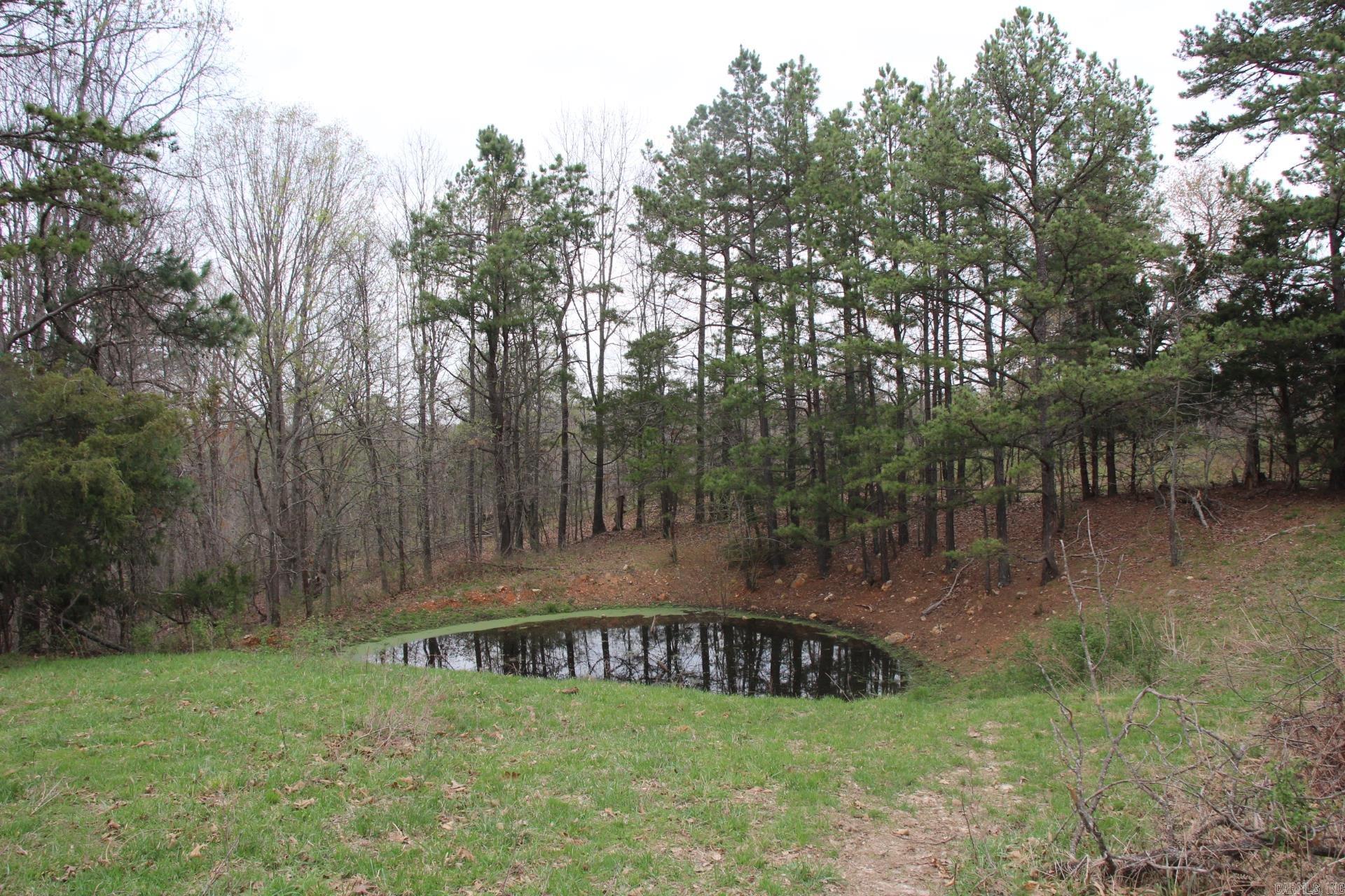 Photo 34 - Vacant Land for sale – 001-08184-000 N Hwy 125   Yellville, AR