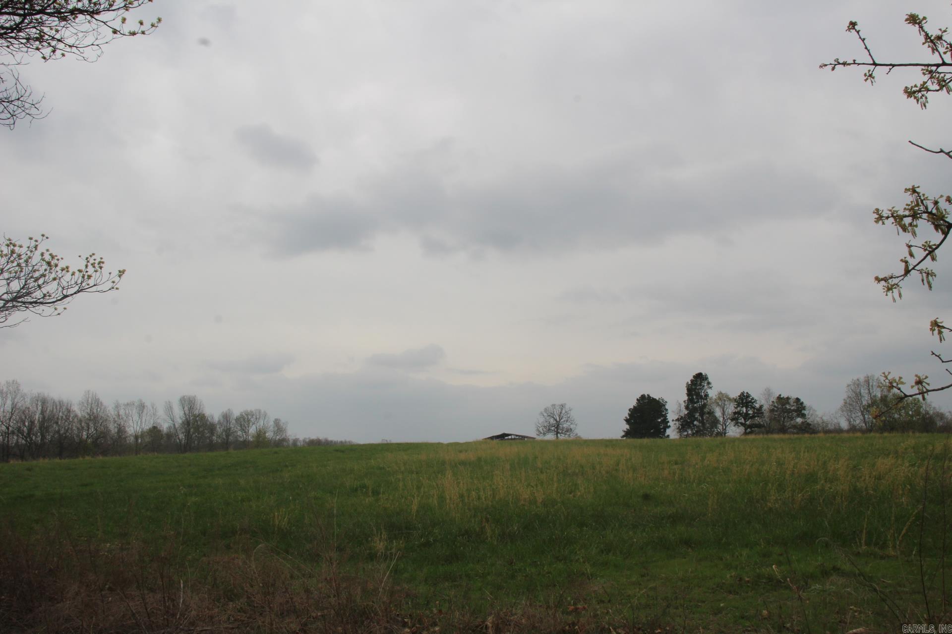 Photo 35 - Vacant Land for sale – 001-08184-000 N Hwy 125   Yellville, AR