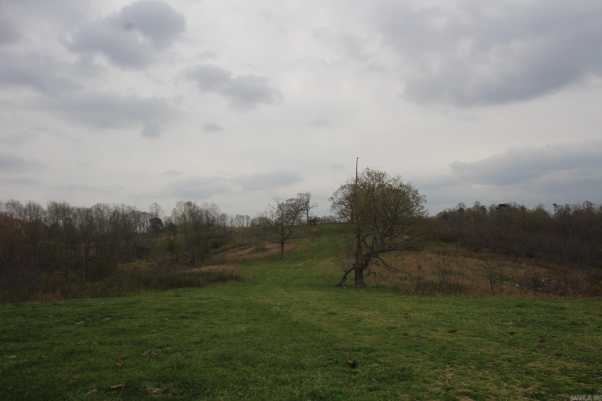 Photo 38 - Vacant Land for sale – 001-08184-000 N Hwy 125   Yellville, AR