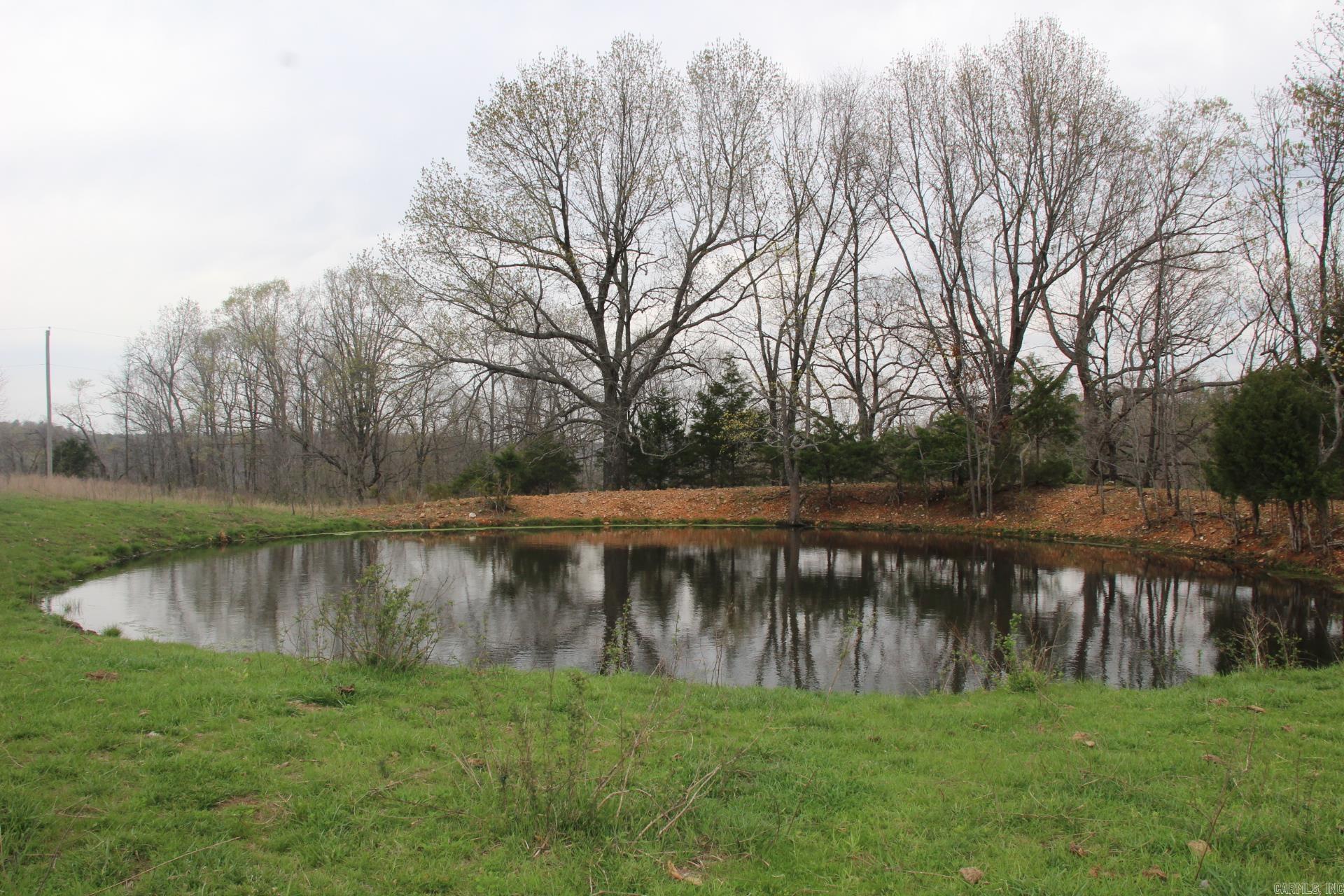 Photo 39 - Vacant Land for sale – 001-08184-000 N Hwy 125   Yellville, AR
