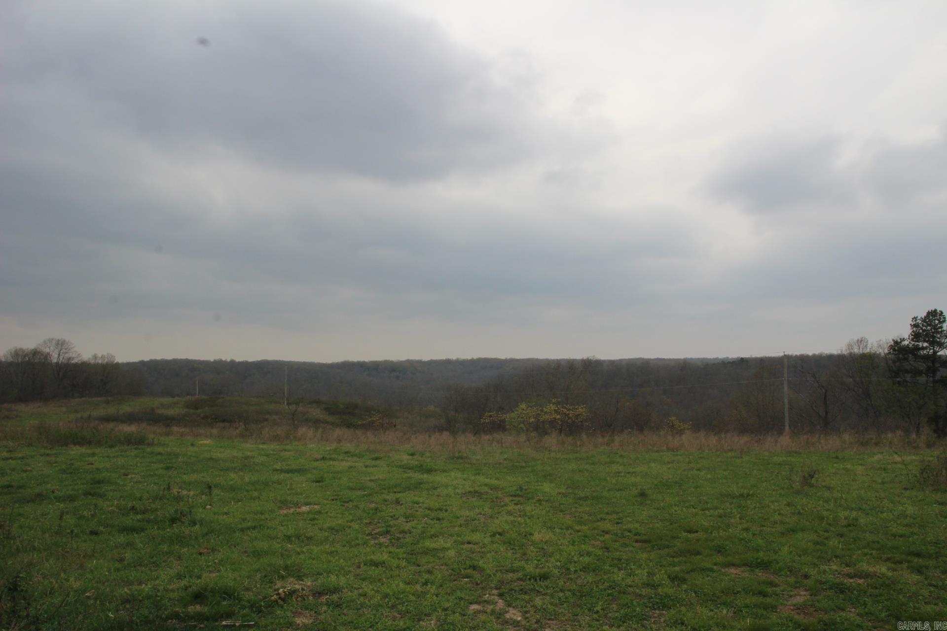 Photo 40 - Vacant Land for sale – 001-08184-000 N Hwy 125   Yellville, AR