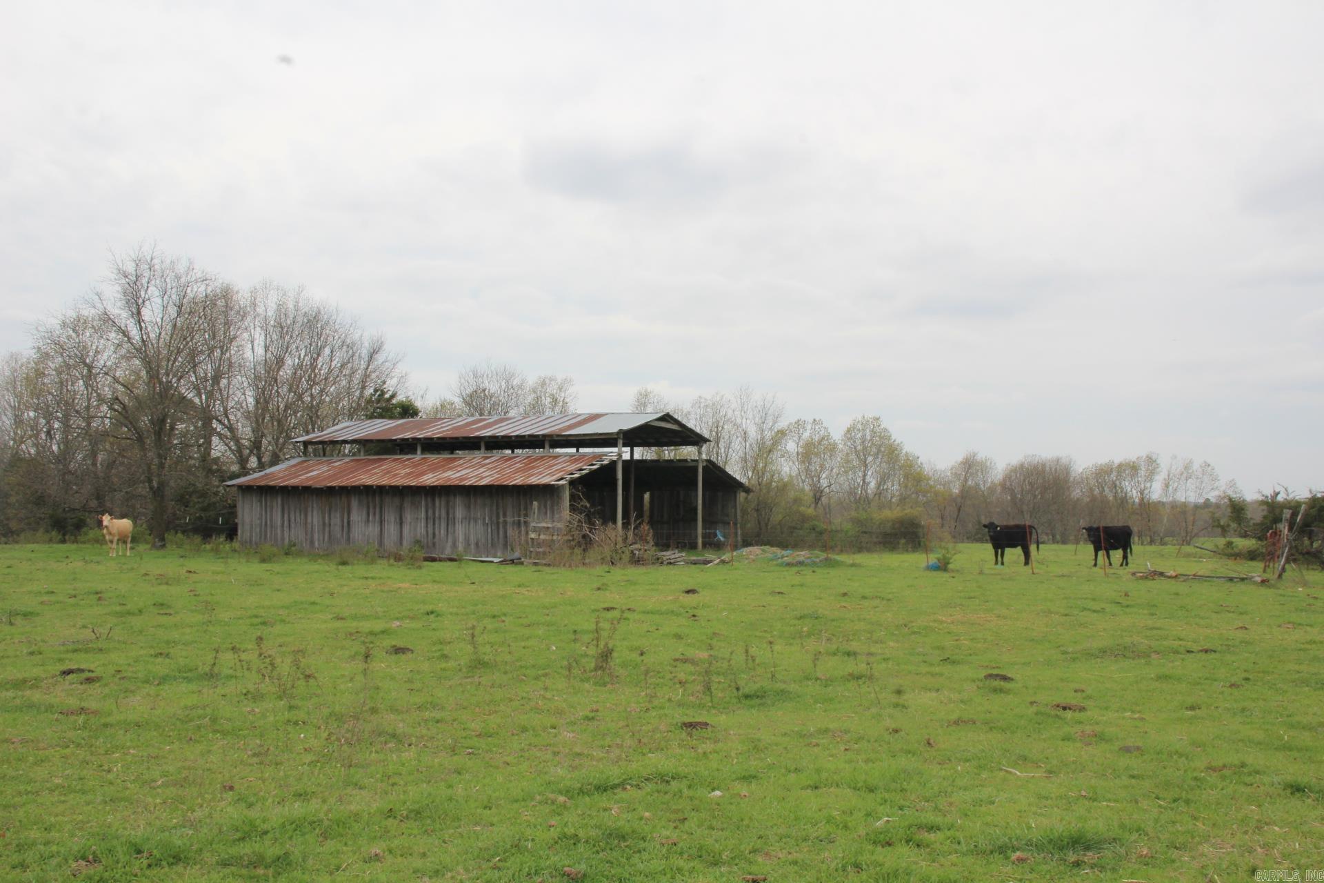 Photo 5 - Vacant Land for sale – 001-08184-000 N Hwy 125   Yellville, AR