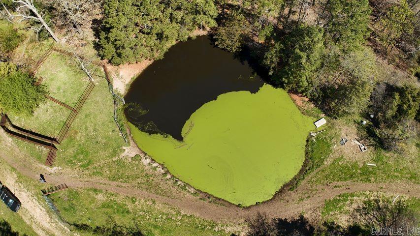 Photo 47 - Vacant Land for sale – 001-08184-000 N Hwy 125   Yellville, AR