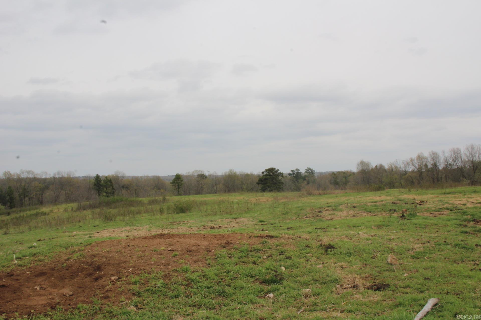 Photo 6 - Vacant Land for sale – 001-08184-000 N Hwy 125   Yellville, AR