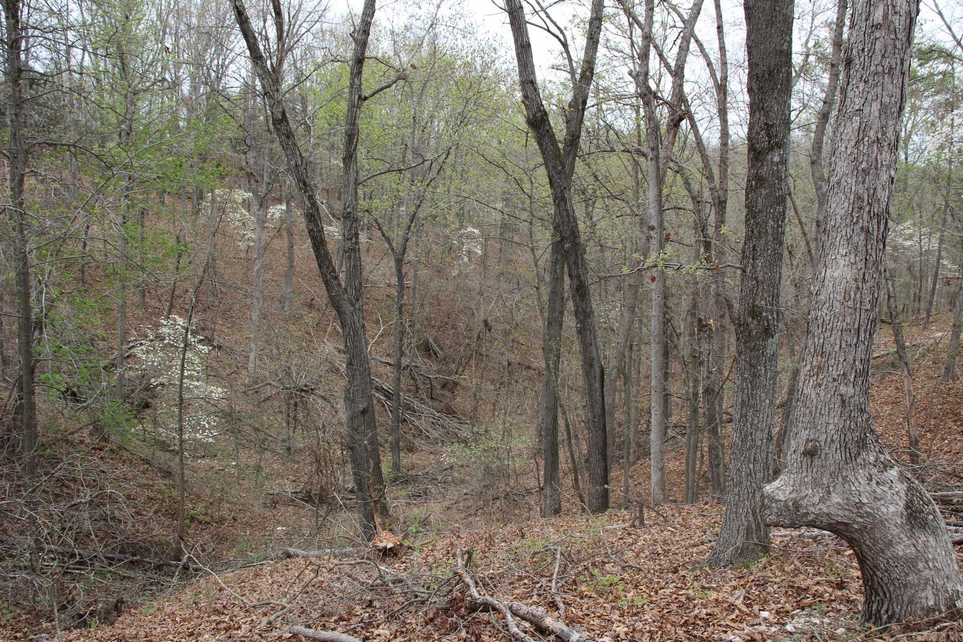 Photo 10 - Vacant Land for sale – 001-08184-000 N Hwy 125   Yellville, AR