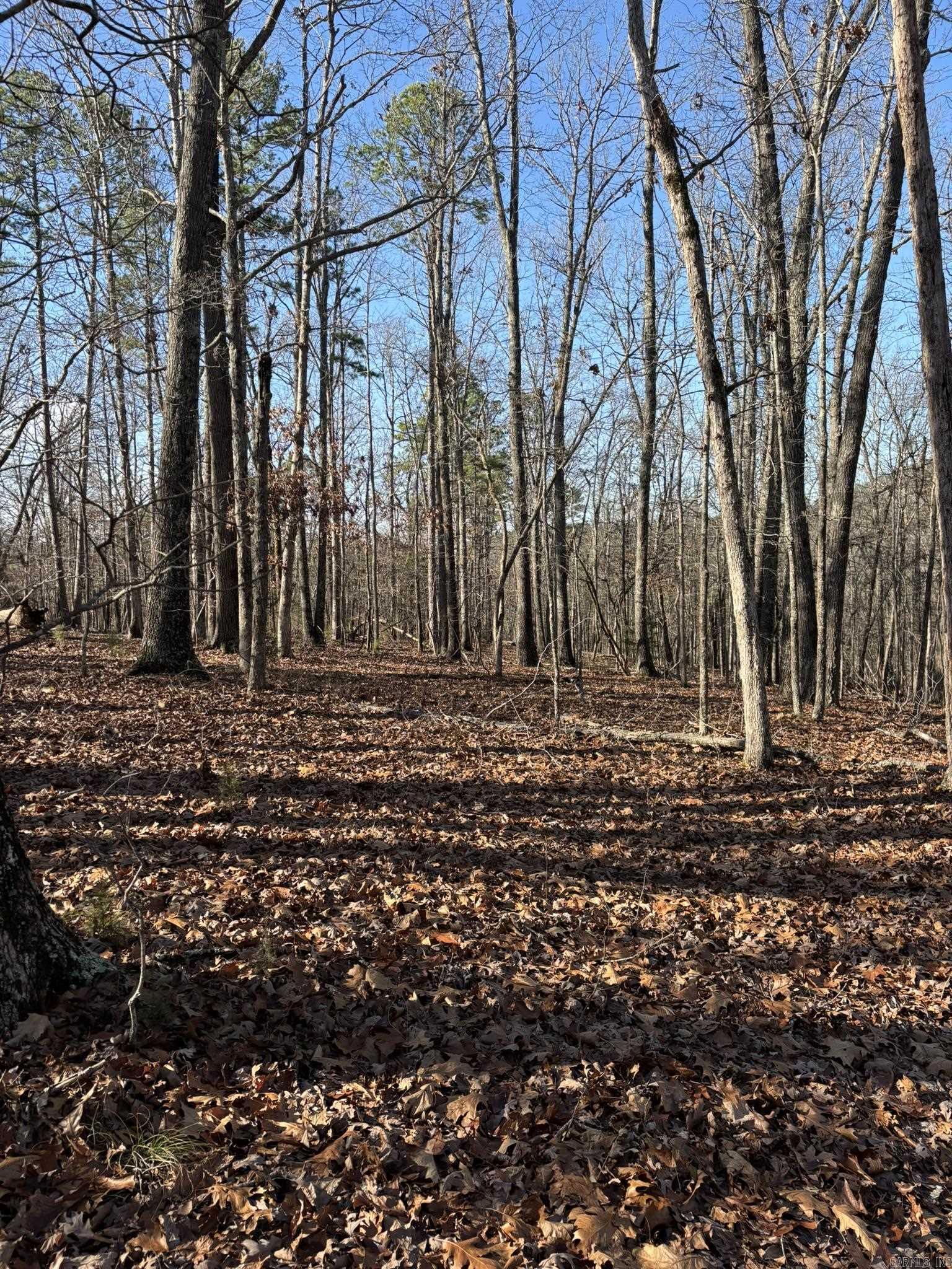 Photo 2 - Vacant Land for sale – 120A  Boyce Street   Melbourne, AR