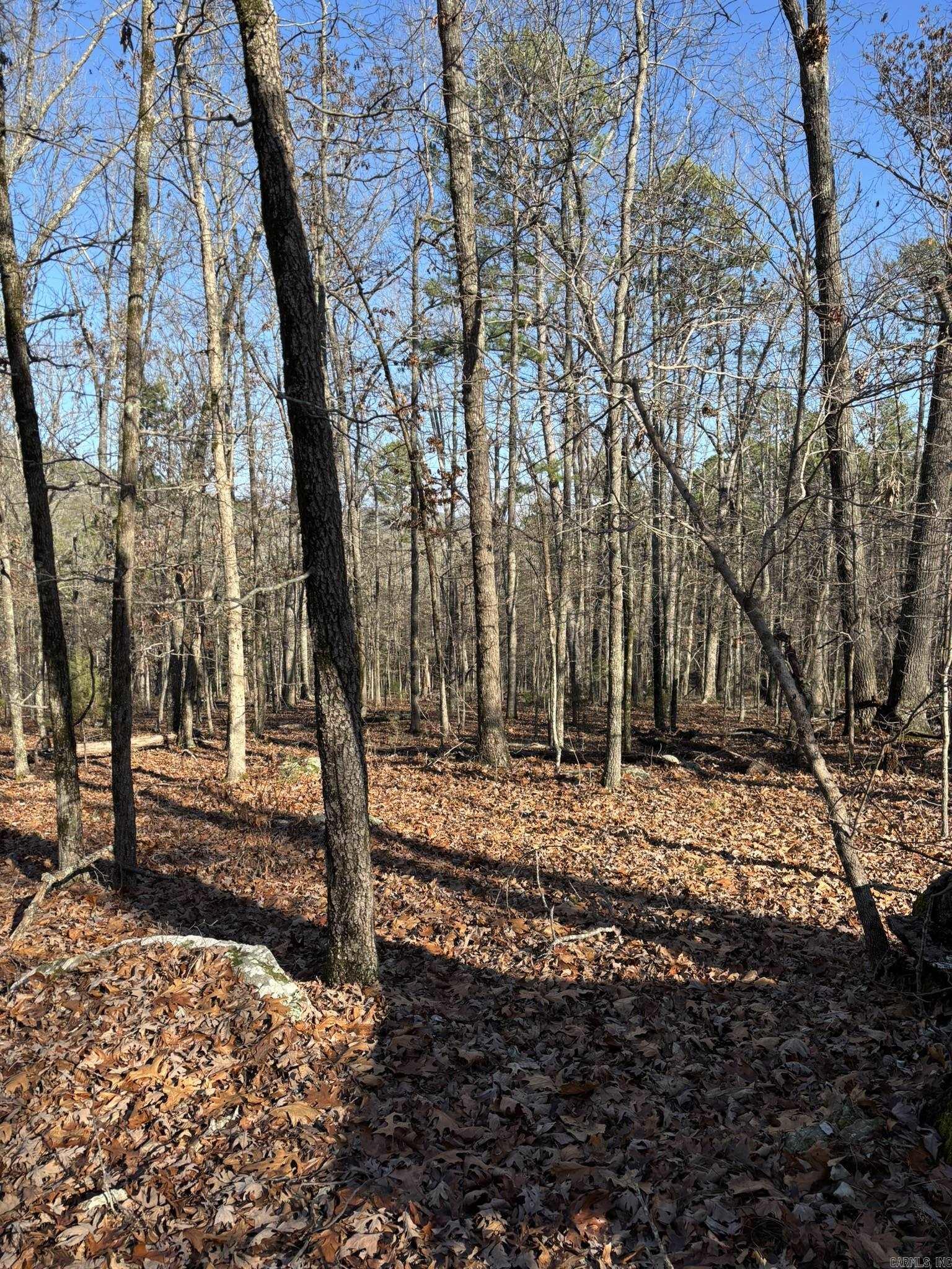 Photo 3 - Vacant Land for sale – 120A  Boyce Street   Melbourne, AR