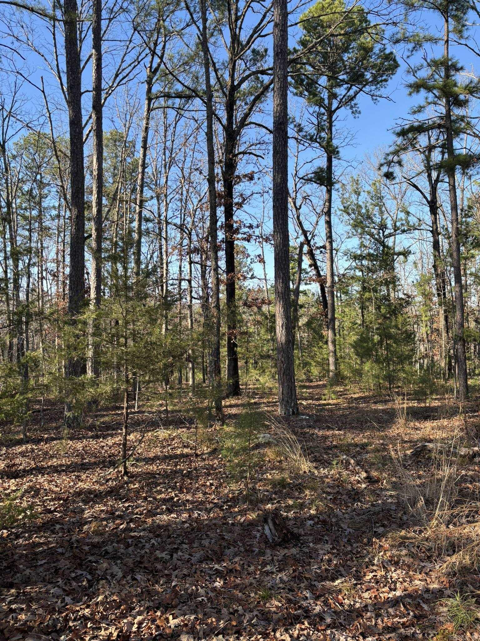 Photo 4 - Vacant Land for sale – 120A  Boyce Street   Melbourne, AR
