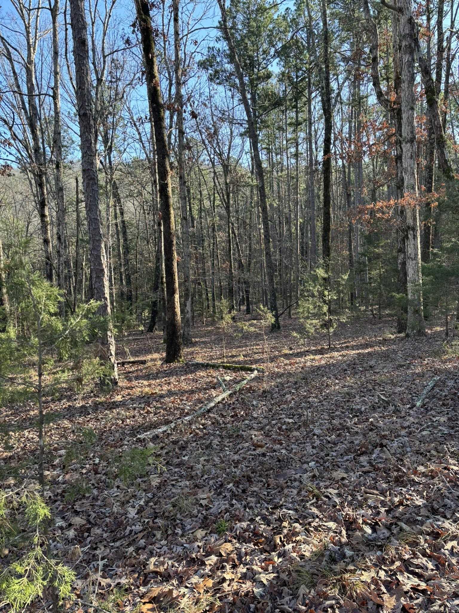 Photo 5 - Vacant Land for sale – 120A  Boyce Street   Melbourne, AR