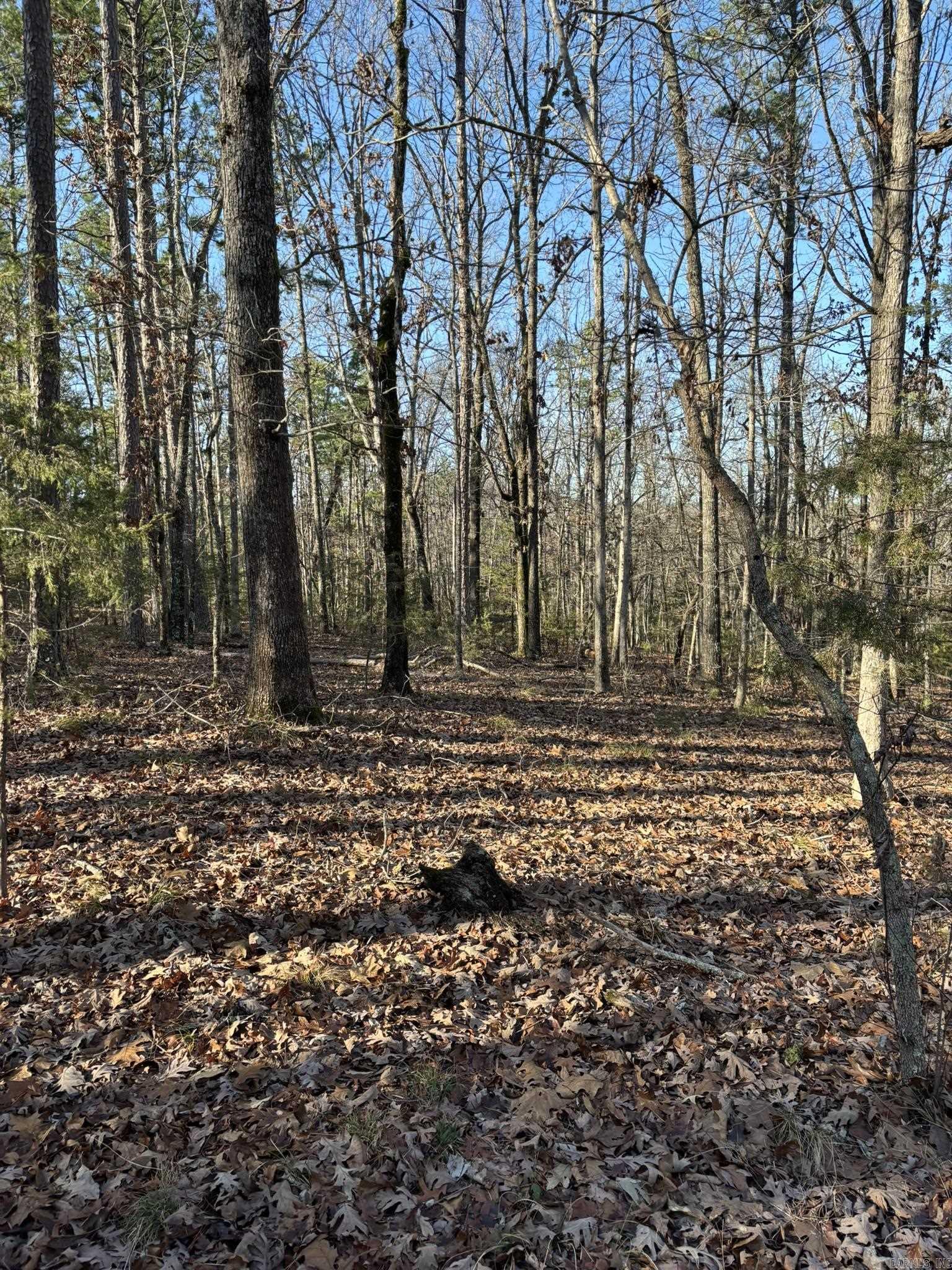 Photo 6 - Vacant Land for sale – 120A  Boyce Street   Melbourne, AR