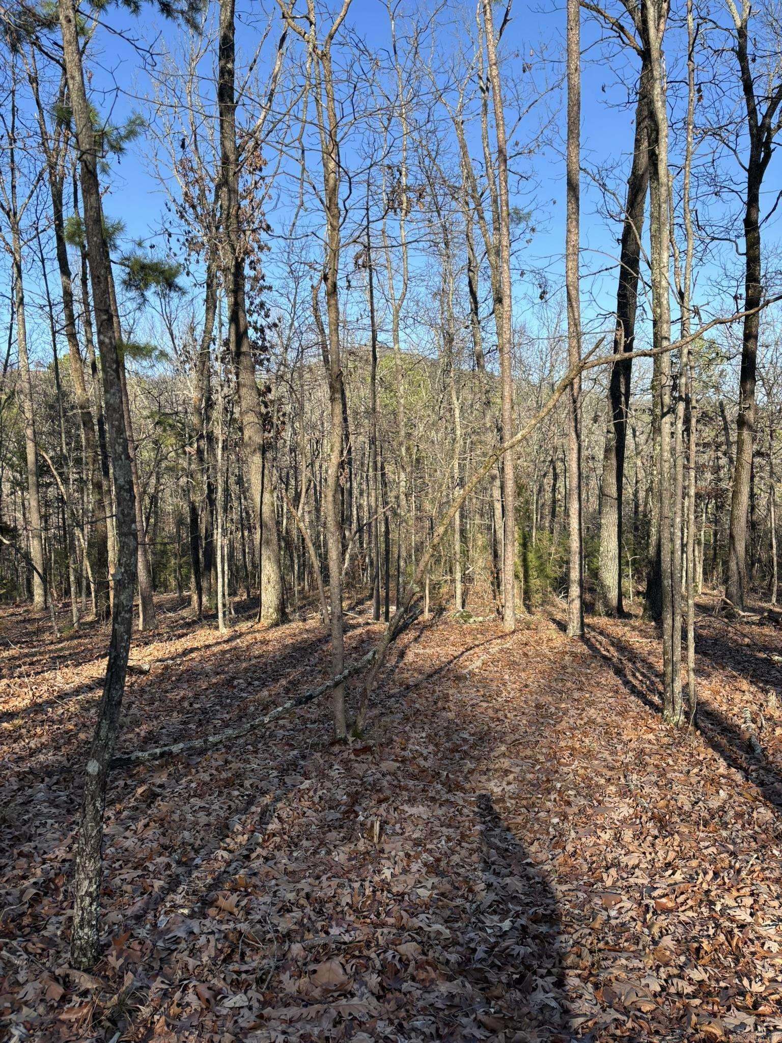 Photo 7 - Vacant Land for sale – 120A  Boyce Street   Melbourne, AR