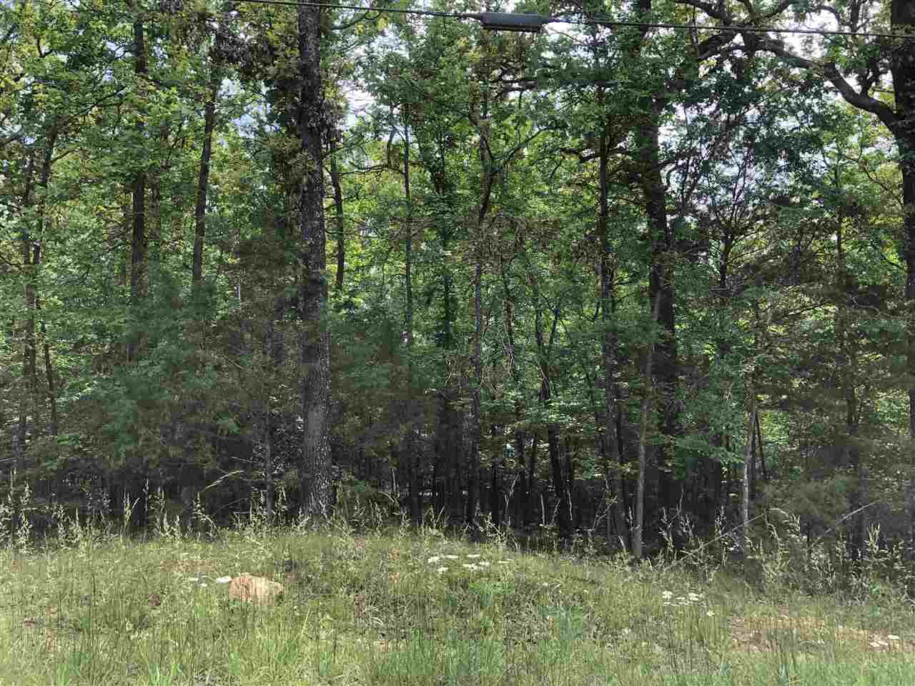 Vacant Land for sale –   Chetopa   Cherokee Village, AR
