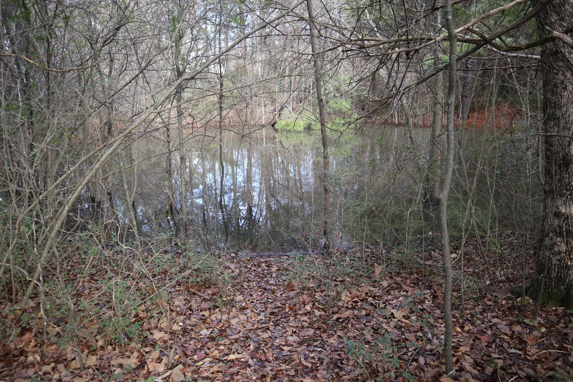 Photo 17 - Residential for sale – 533  North St   Salem, AR