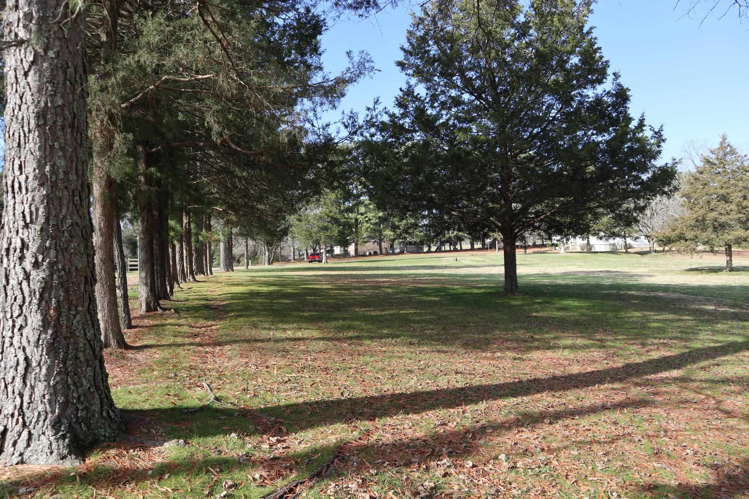 Photo 22 - Residential for sale – 533  North St   Salem, AR