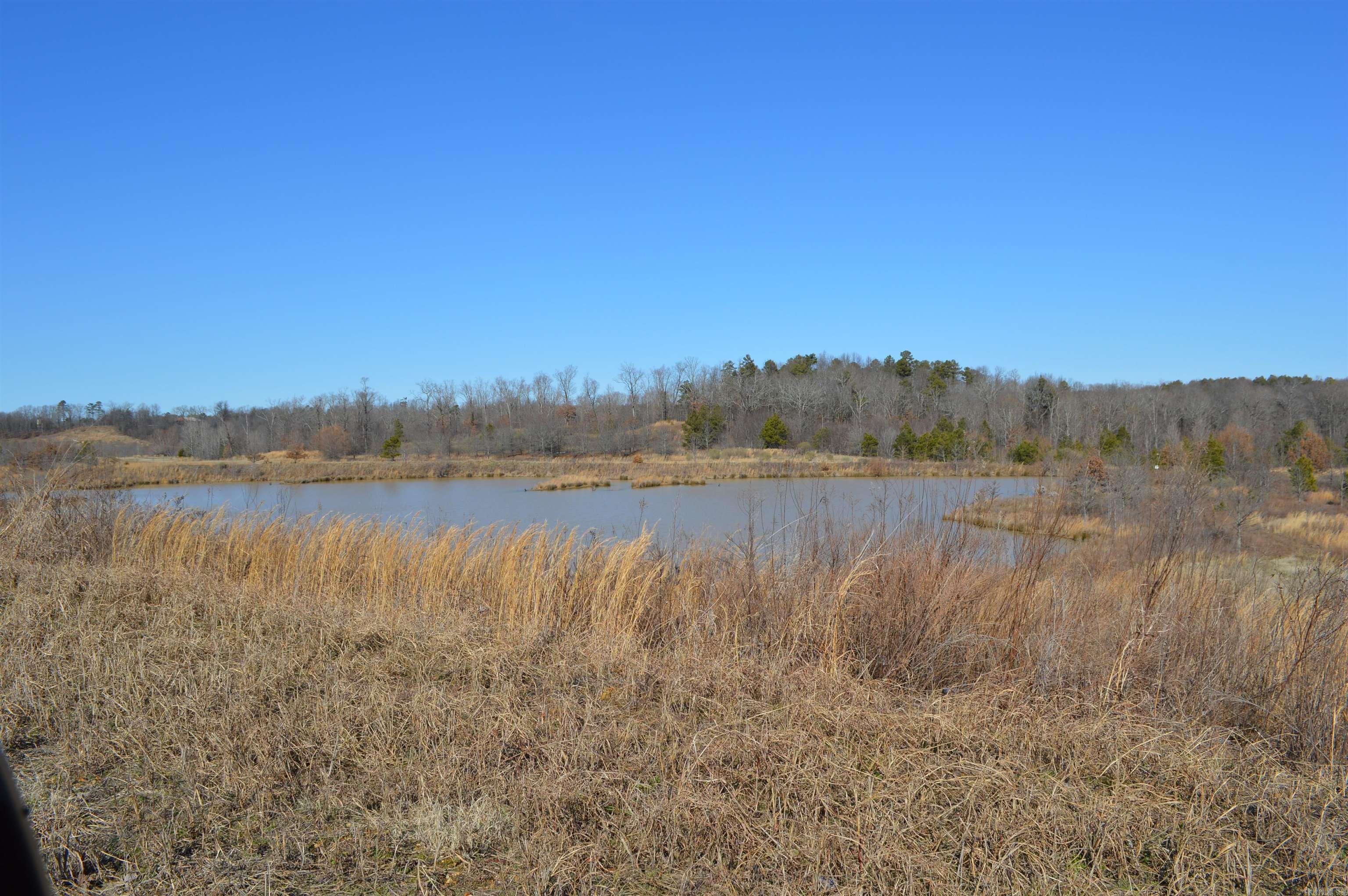 Photo 28 - Vacant Land for sale – 3523  Highway 163   Cherry Valley, AR