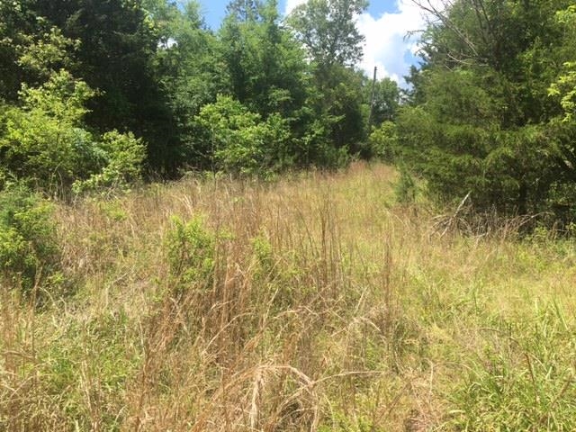 Photo 2 - Vacant Land for sale – 1179  Lofton   Calico Rock, AR