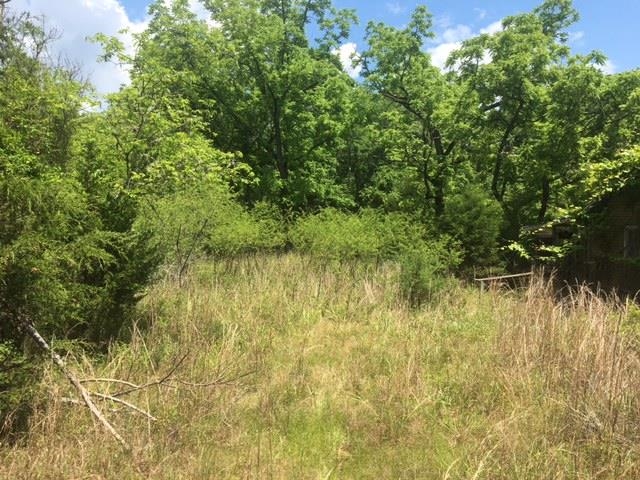 Photo 3 - Vacant Land for sale – 1179  Lofton   Calico Rock, AR