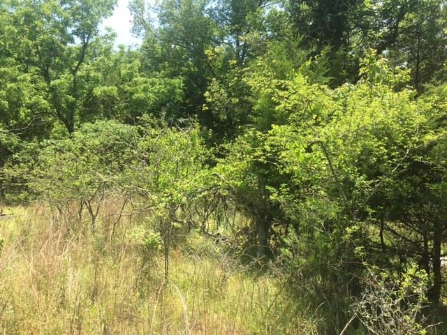 Photo 4 - Vacant Land for sale – 1179  Lofton   Calico Rock, AR