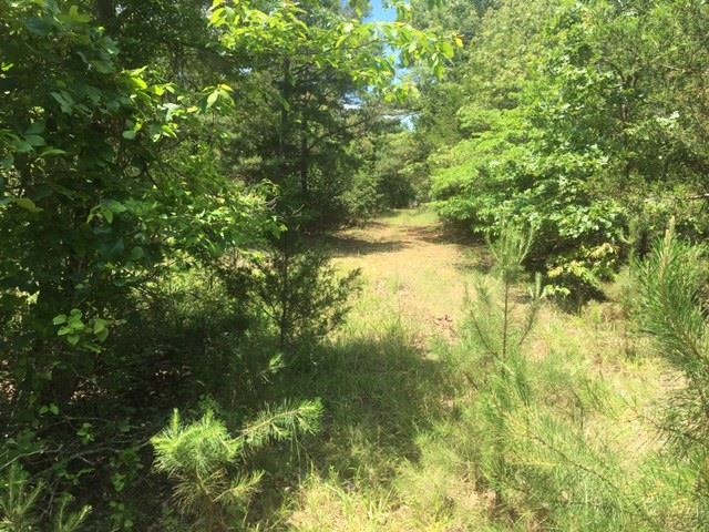 Photo 5 - Vacant Land for sale – 1179  Lofton   Calico Rock, AR
