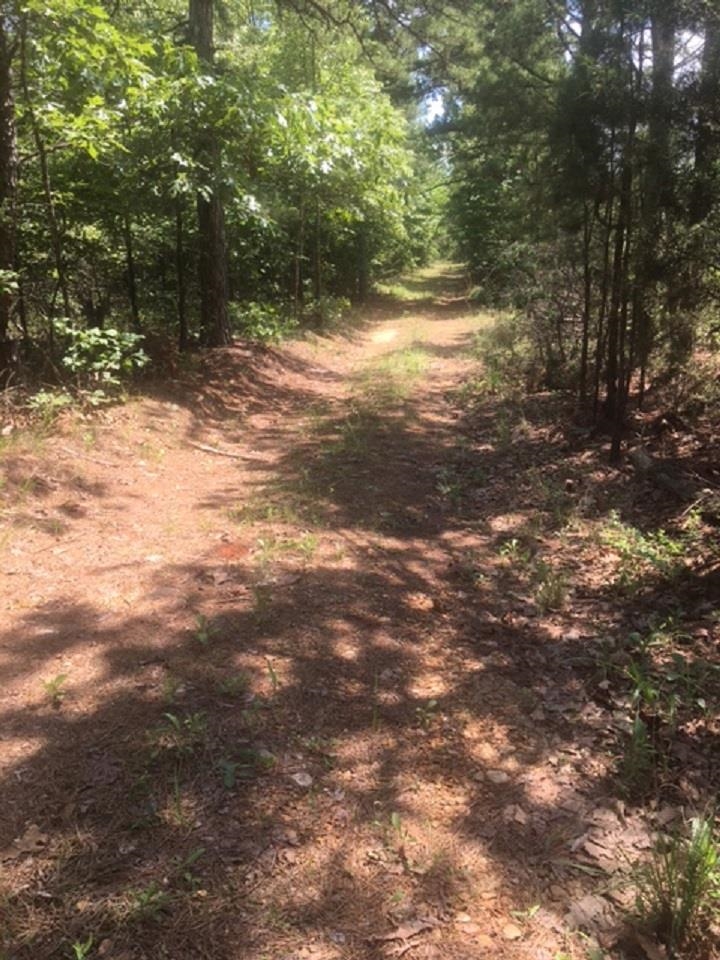 Photo 6 - Vacant Land for sale – 1179  Lofton   Calico Rock, AR