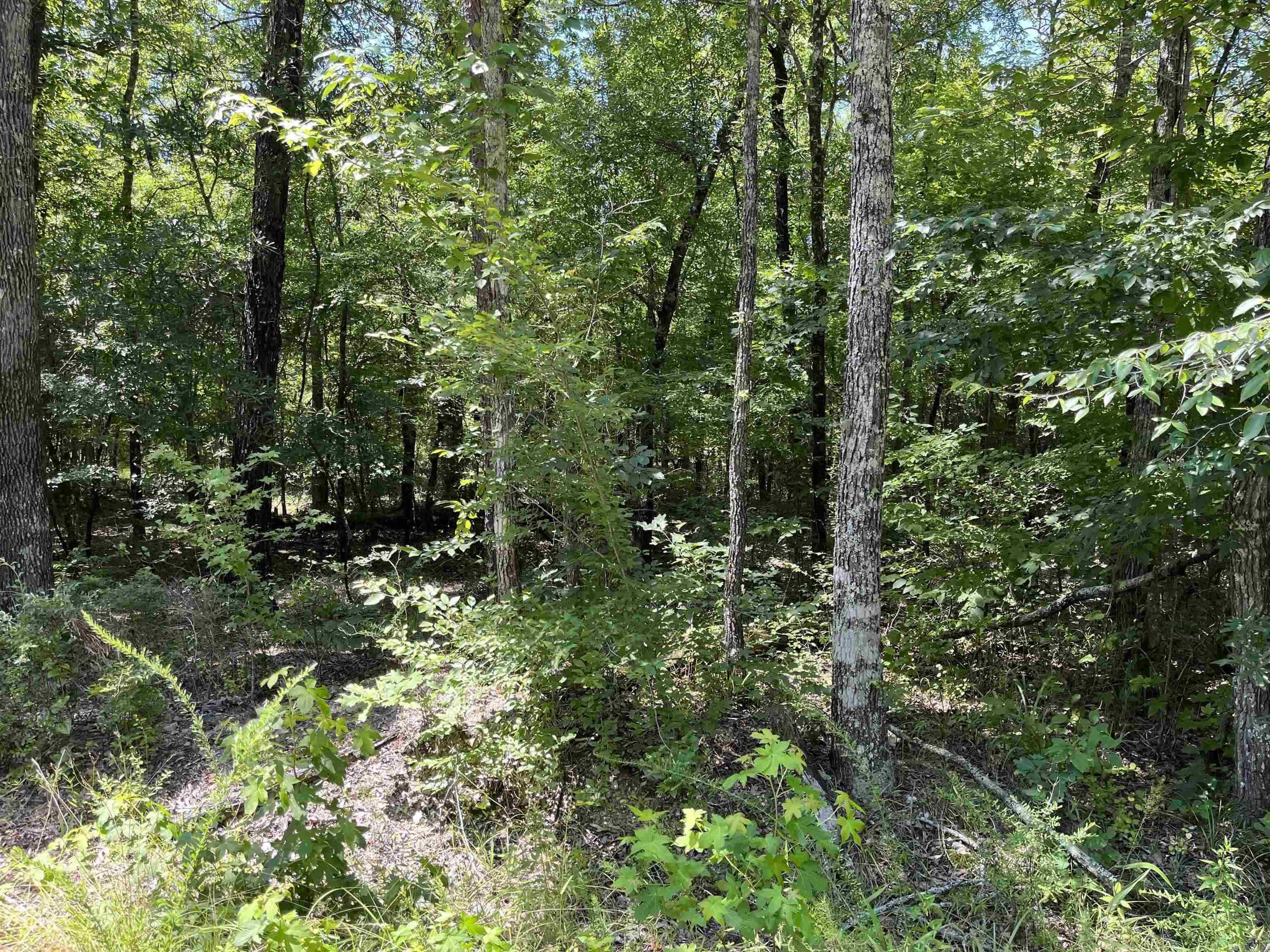 Vacant Land for sale – 2  Murillo Circle   Hot Springs Village, AR